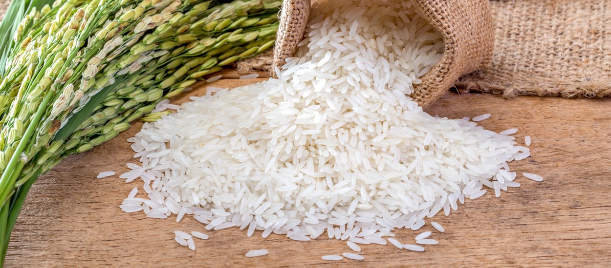 Non Basmati Rice surajagimpex